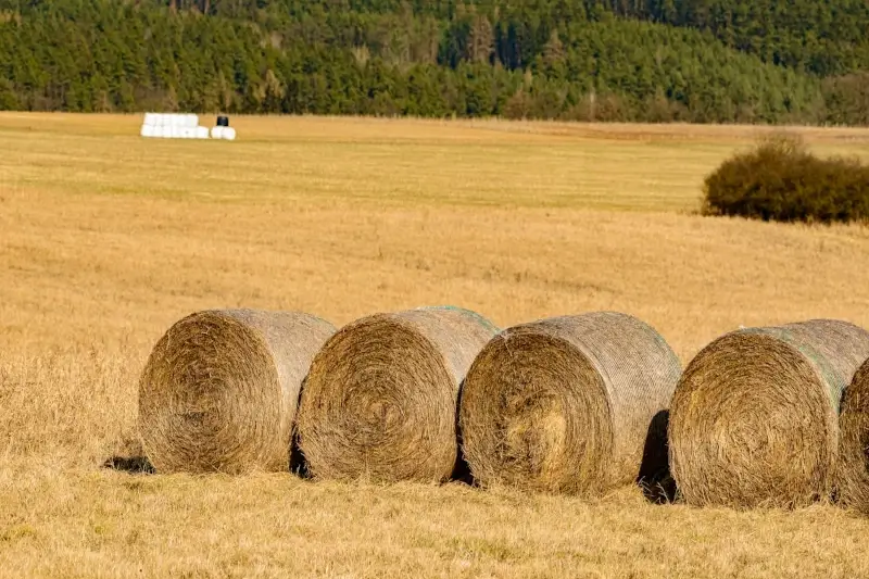 Bolsas de silo para la conservación de forraje